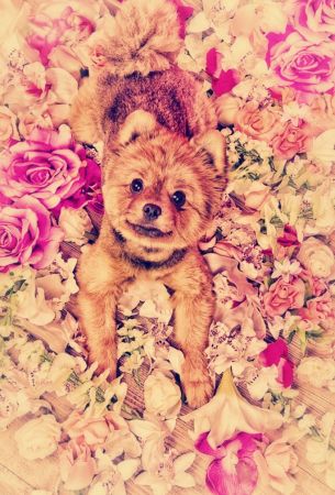 Bybabylol - Portfolio - Animals: DSC_0185-1012