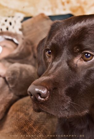 Bybabylol - Portfolio - Animals: DSC_6522w