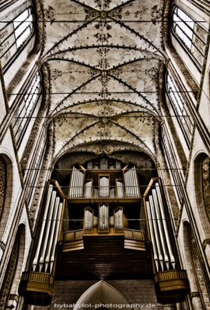 Bybabylol - Portfolio - Sacral: DSC_8279w